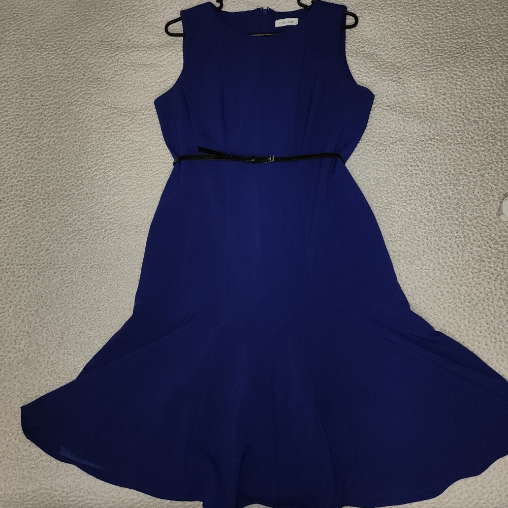 Calvin Klein Beautiful Blue Belted Sleeveless Pleated Dress - Picture 4 of 16